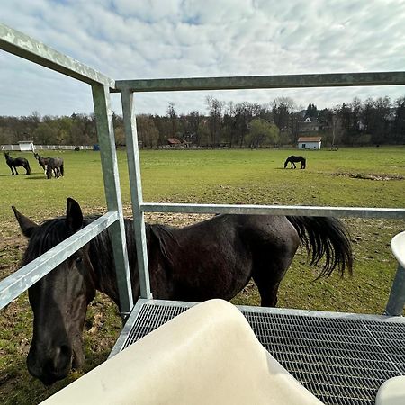 Glamping - Stylova Maringotka V Srdci Ladova Kraje, Pobliz Hlavniho Mesta Prahy Stribrna Skalice Exterior photo