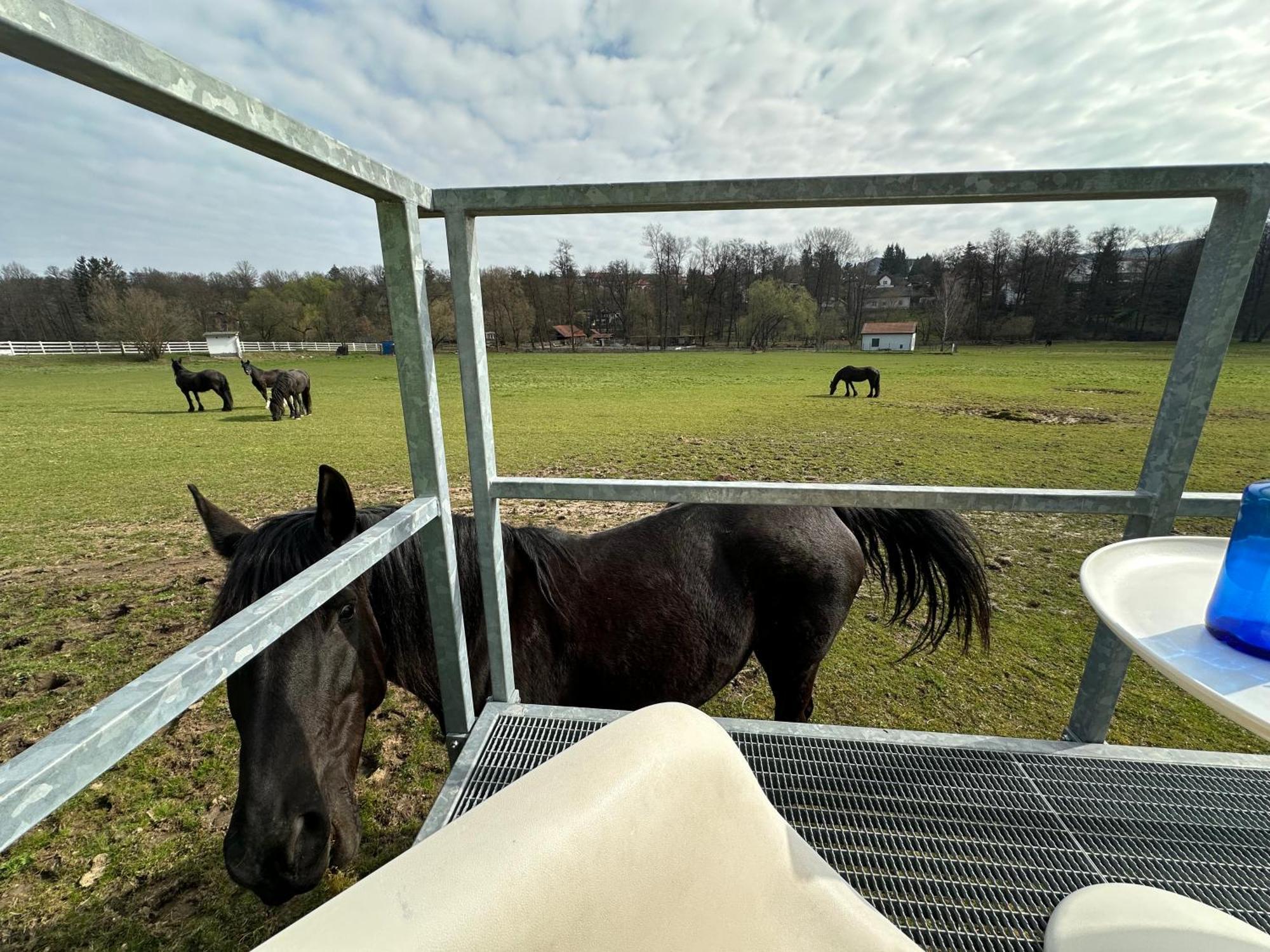 Glamping - Stylova Maringotka V Srdci Ladova Kraje, Pobliz Hlavniho Mesta Prahy Stribrna Skalice Exterior photo